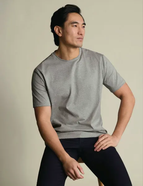 Charles Tyrwhitt Pure Cotton Jersey Crew Neck T-Shirt Light Grey