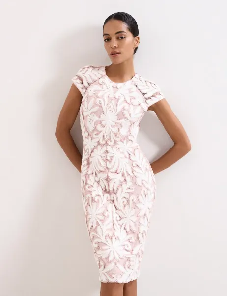 Phase Eight Embroidered Lace Knee Length Dress Light Pink Mix