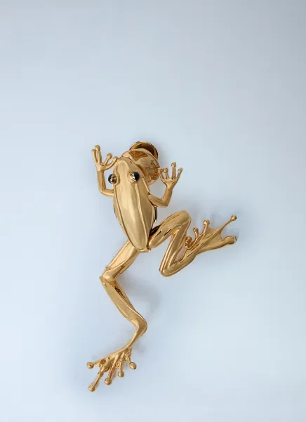 Small Rana Brooch