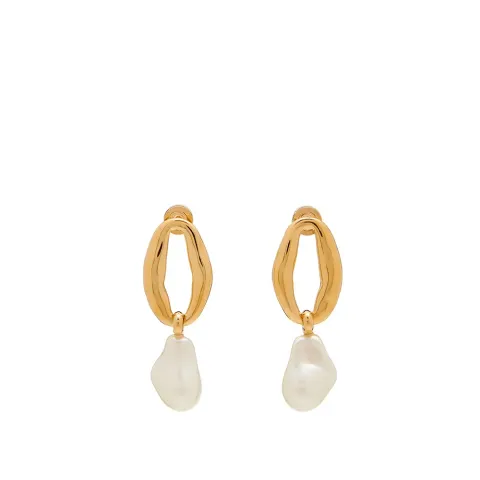 Chain Pendant Earrings