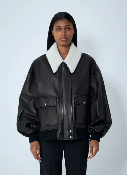 Shellar Jacket