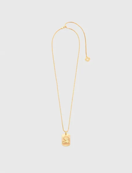 Zodiac sign plaque necklace