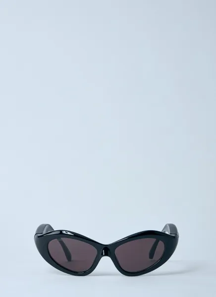 Orbit Cat Sunglasses