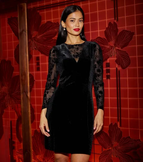 Women's Black Velvet Mesh Sleeve Mini Dress