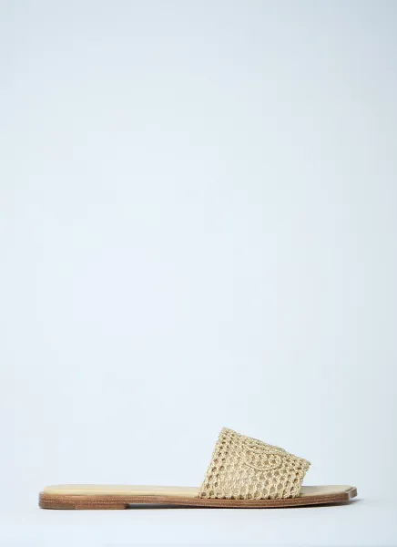 Logo Motif Slides