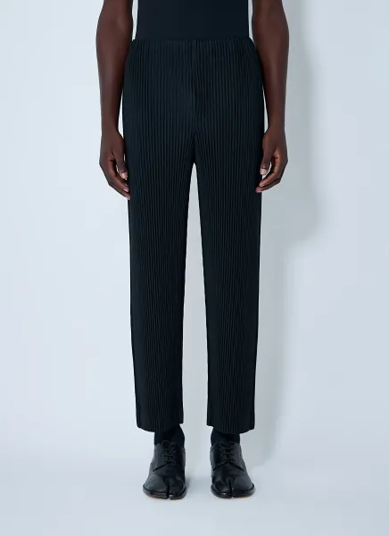 Pleated Pants