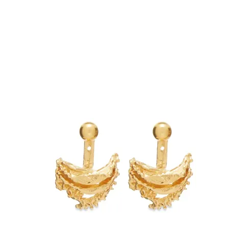 The Bewitching Constellation Earring