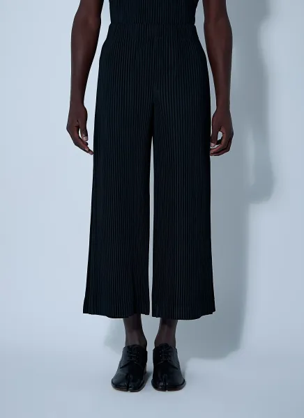 Pleated Pants