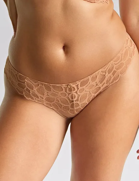 Panache Allure Brazilian Lace Knickers Honey