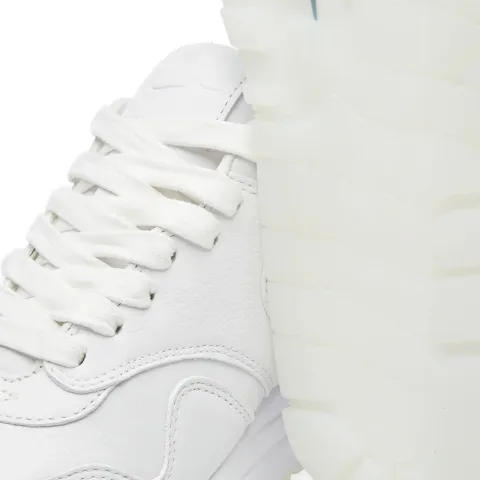 Air Max 1 Pinnacle
