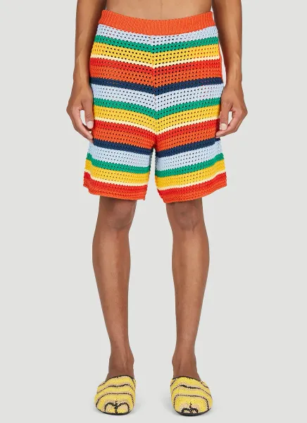Stripe Knit Shorts