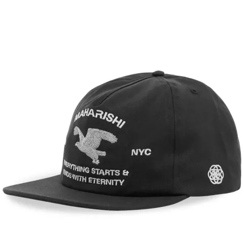 Drone Eagle Tour Cap