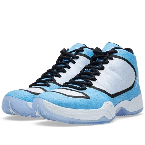 Nike Air Jordan XX9 'Legend Blue'
