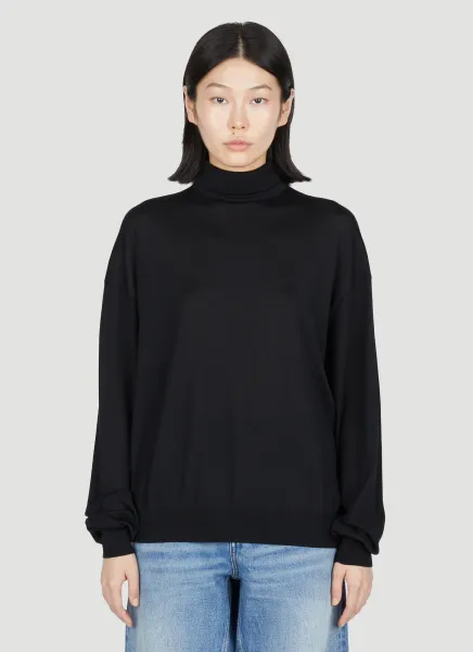 Semi Sheer Turtleneck Sweater