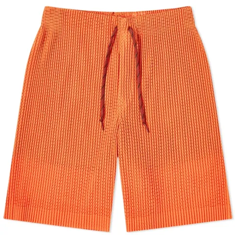Colourful Mesh Pleated Shorts