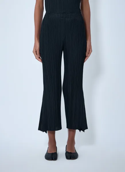 Pleated Pants