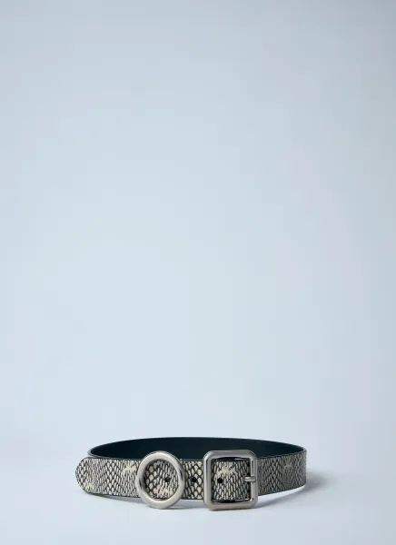 La Ceinture Regalo Belt