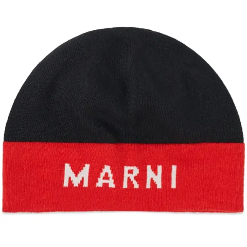 Logo Beanie