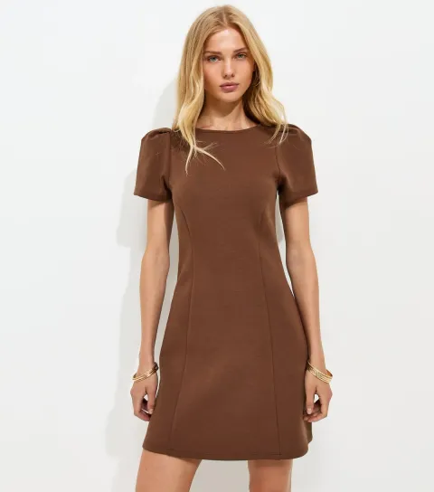 Women's Dark Brown Cotton Rich Ponte Short Sleeve Structured Shoulder Mini Dress