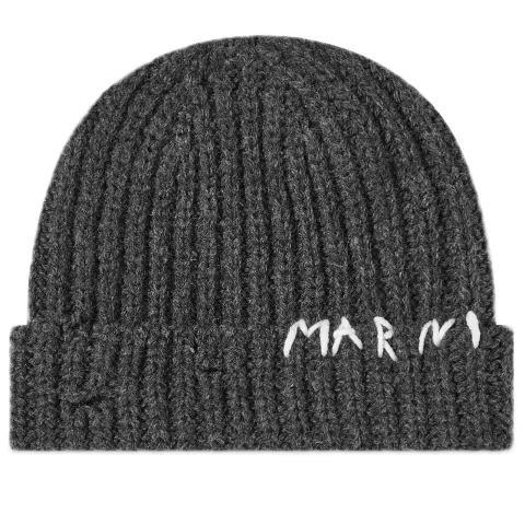 Stitched Logo Beanie