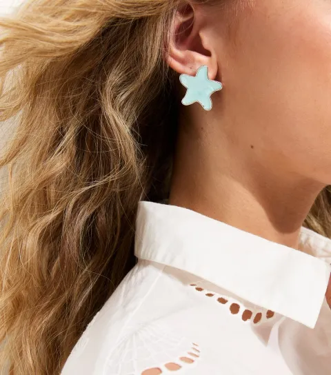 Silver Tone Contrast Centre Star Shaped Stud Earrings