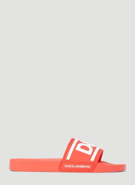 Logo Pool Slides
