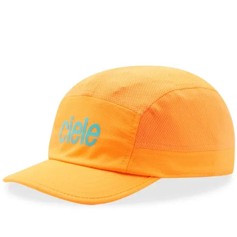 ALZCap SC Standard Corp Small