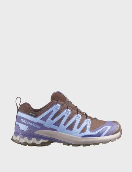 Salomon XA PRO 3D V9 GORE-TEX Trail Running Trainers