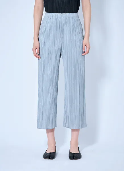 Pleated Wide-Leg Trousers