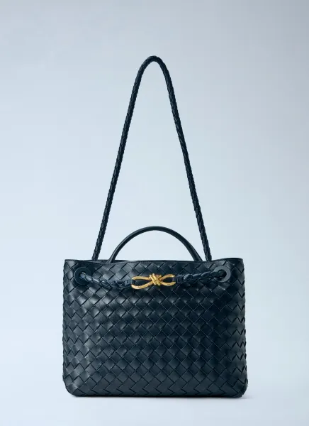 Bottega Veneta Medium Andiamo Handbag