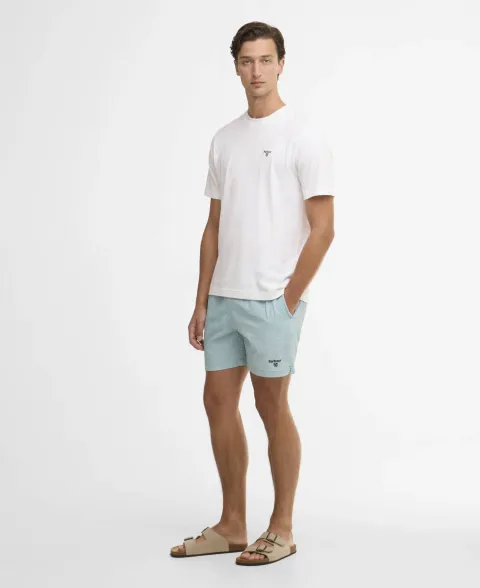 Somerset Pinstripe Swim Shorts