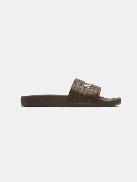 SLIDE - Brown