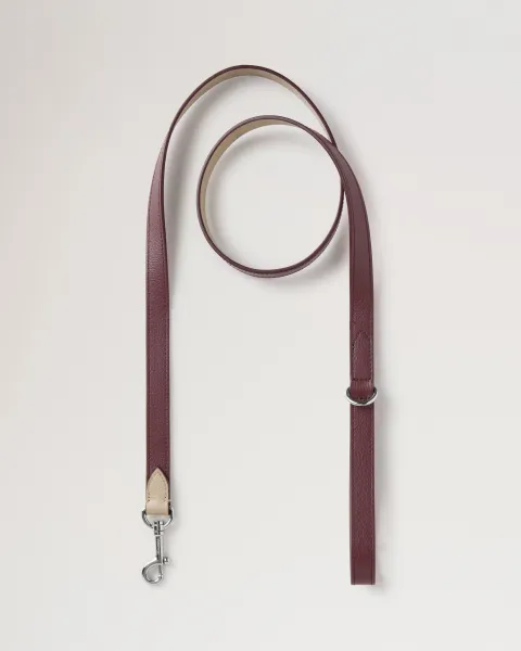 Handheld Dog Leash