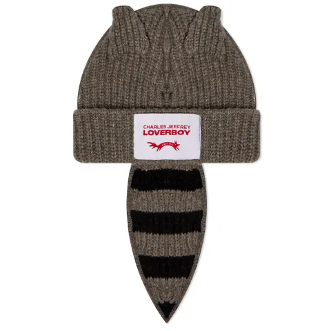 Chunky Raccoon Beanie