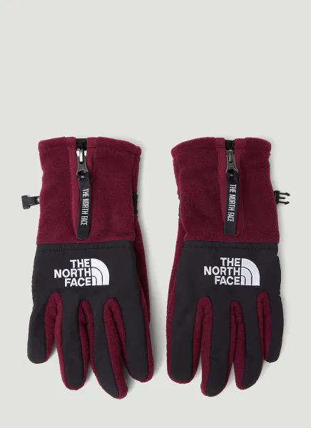 The Denali Etip Gloves