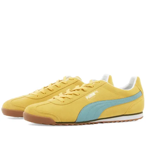 Arizona PUMA Legends
