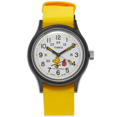 Mk1 Resin Peanuts Edition Woodstock