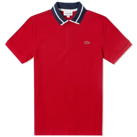 Ribbed Collar Polo