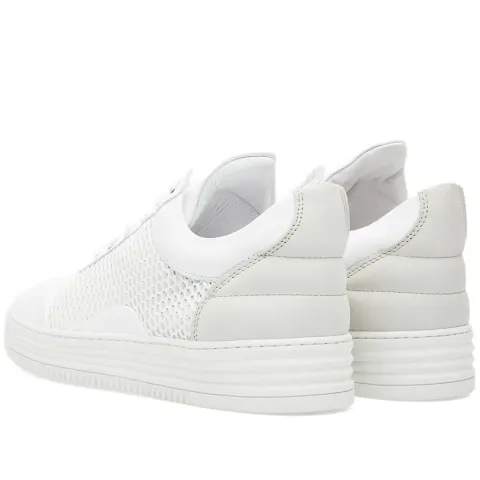 Low Top Sneaker