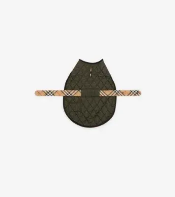 Quilted Nylon Dog Coat in Shale green