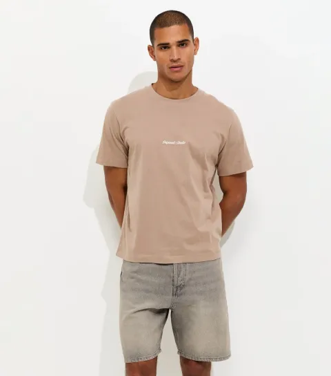 Men's Grey Cotton Regular Fit Denim Shorts
