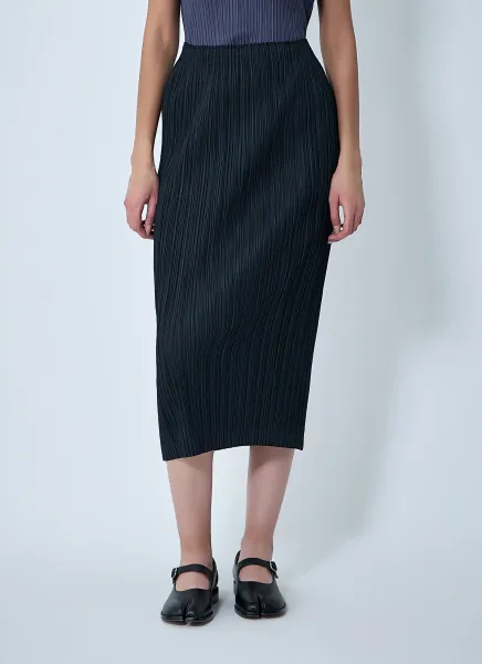 Pleated Skirt