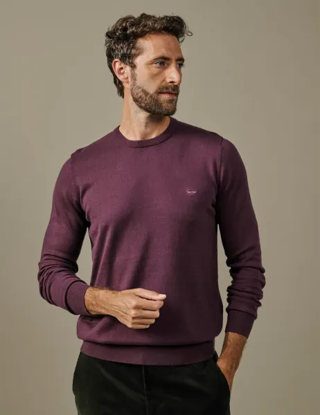 Aubin Pure Cotton Crew Neck Jumper Purple