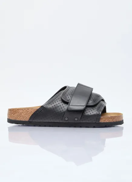 Kyoto Slides