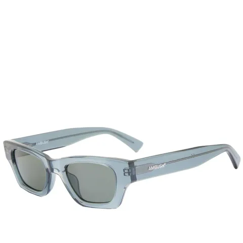 Ray Sunglasses