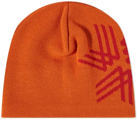 Big Logo Beanie
