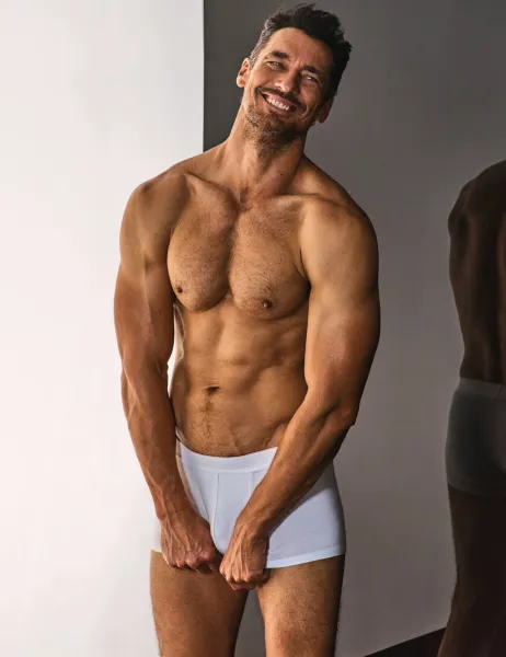 David Gandy Wellwear 3 Pack Ultimate Cotton Modal Trunks Multi