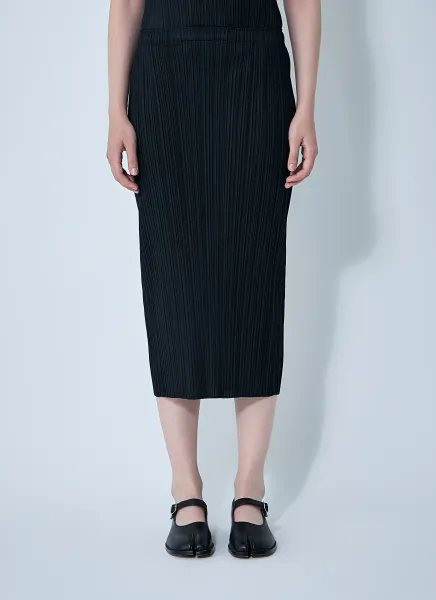 Pleated Skirt