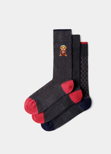 Three Pack Combed Cotton Harry Gift Socks