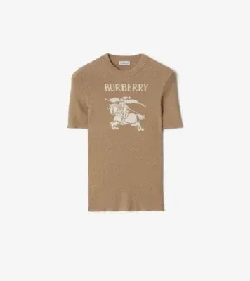 Knight Metallic Wool Blend Top in Archive beige/gold
